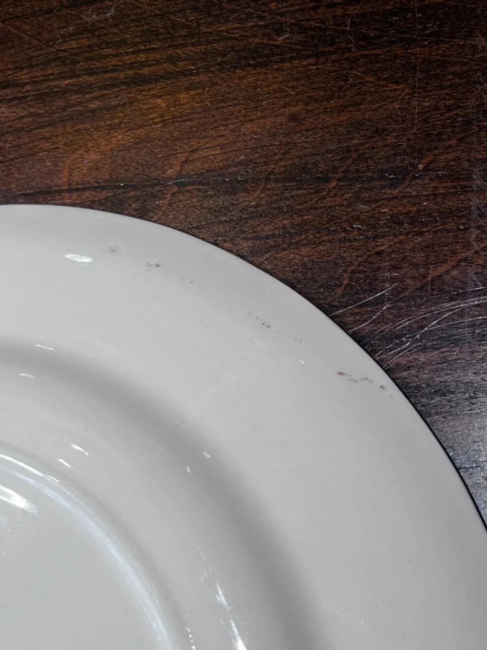 Salem Dinner Plate Aristocrat Maroon (Floral Center)